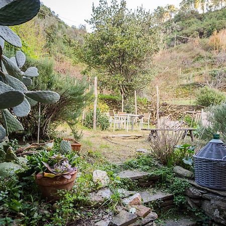 Il Limoneto Dei Cinque Sensi,Apartment With Garden Vernazza Buitenkant foto