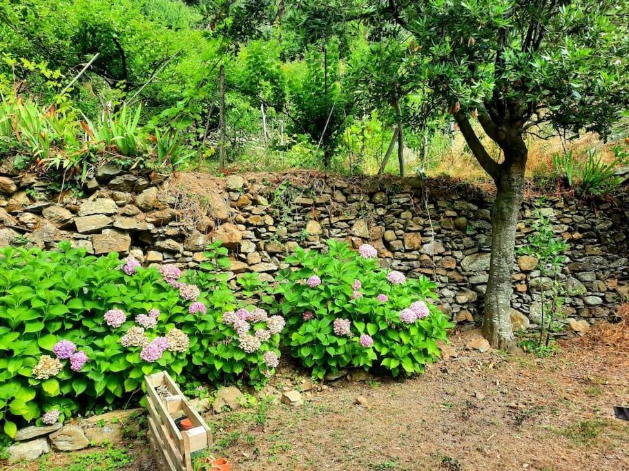 Il Limoneto Dei Cinque Sensi,Apartment With Garden Vernazza Buitenkant foto