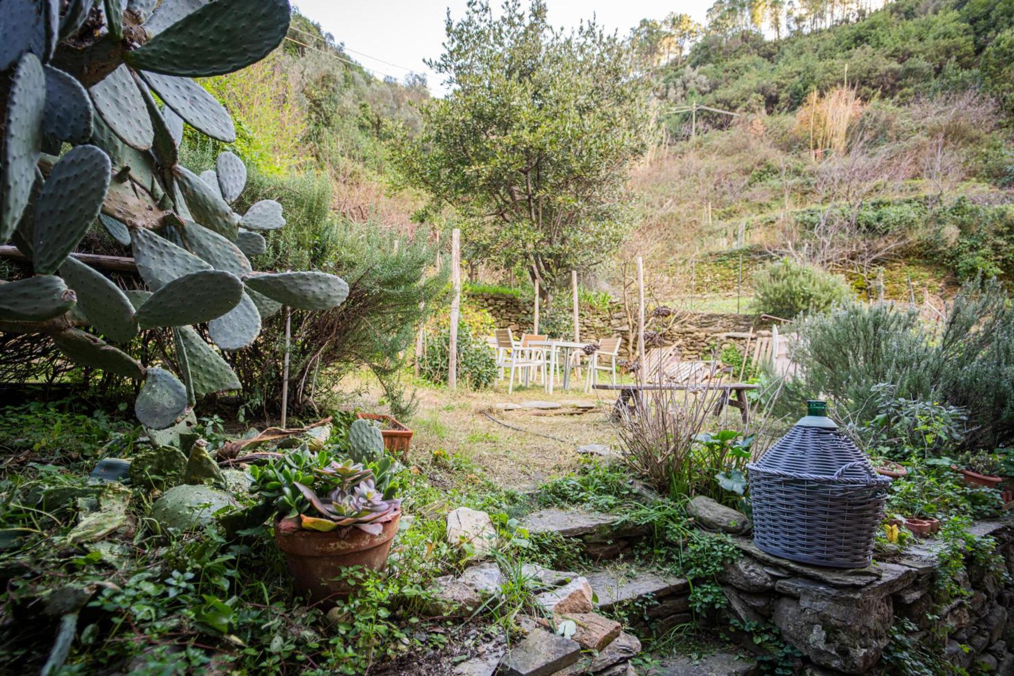 Il Limoneto Dei Cinque Sensi,Apartment With Garden Vernazza Buitenkant foto
