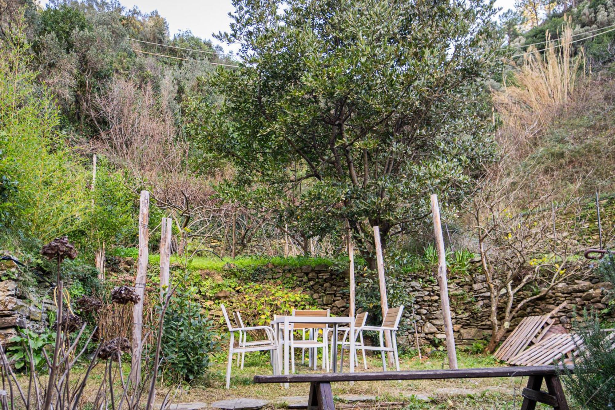 Il Limoneto Dei Cinque Sensi,Apartment With Garden Vernazza Buitenkant foto